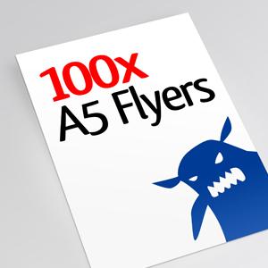 100x A5 Flyers Image